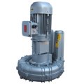 Воздуходувка FPZ K09-MD-GVR-15.00 Flex-coupling Vertical IE2